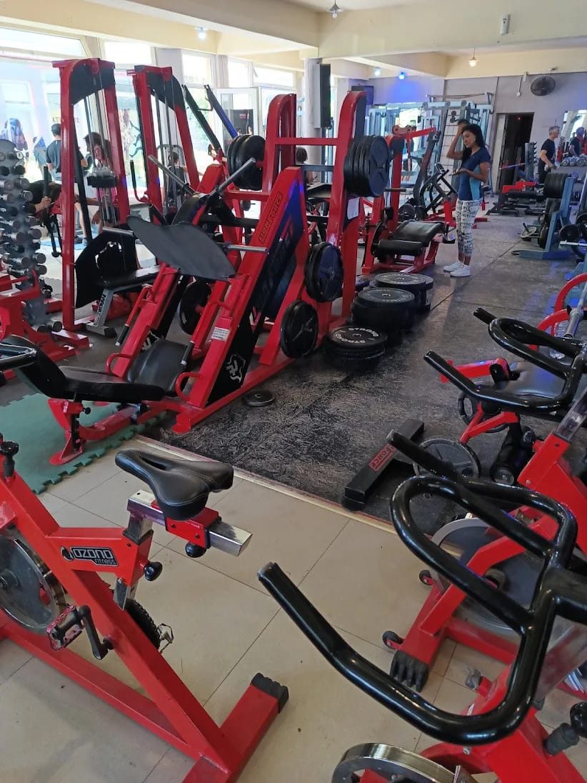 Musculación